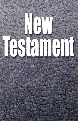 The Father's Life New Testament