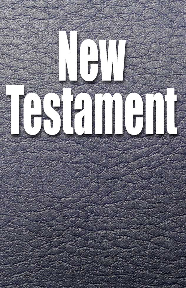 The New Testament, Audio book by David W. Dyer